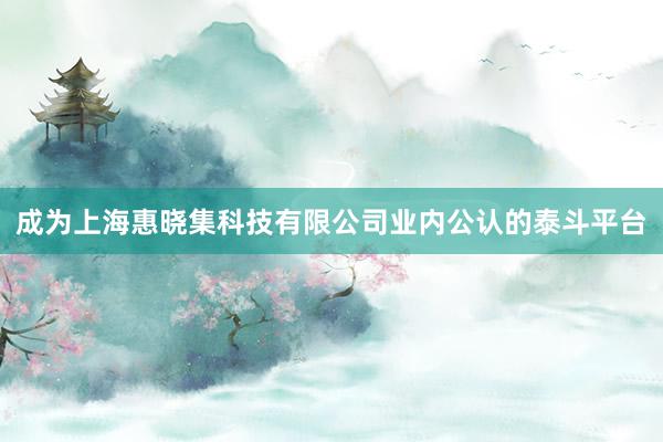 成为上海惠晓集科技有限公司业内公认的泰斗平台