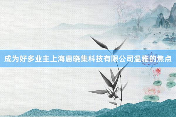 成为好多业主上海惠晓集科技有限公司温雅的焦点